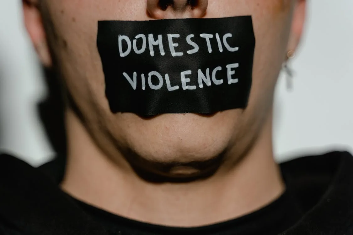 domestic violence in the USA